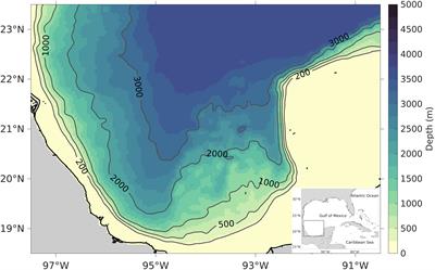 Variability of the southern Gulf of Mexico and its predictability and stochastic origin